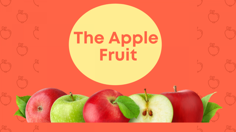 Apple fruit
